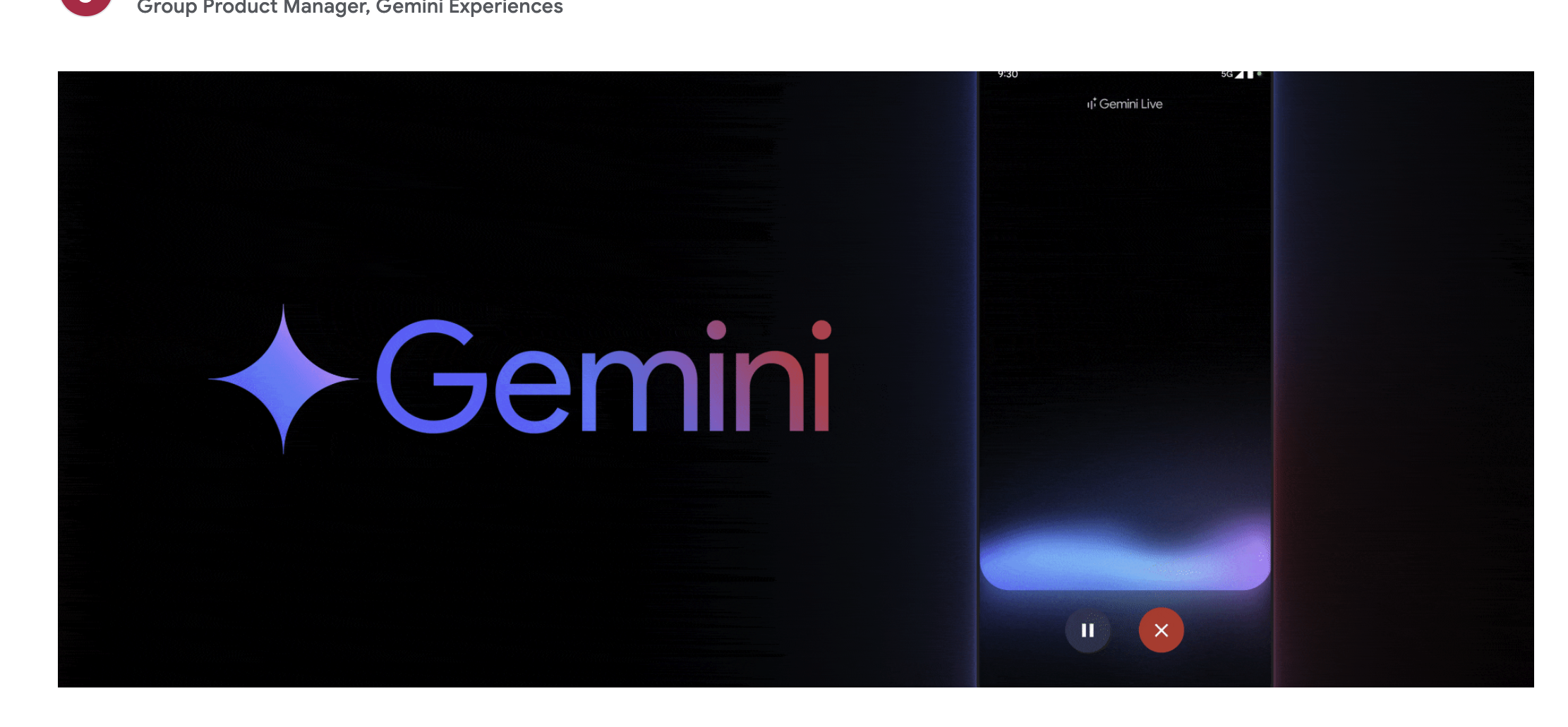 Gemini Live 公式サイトから引用